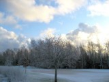 First Snow in Helsinki