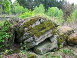 Moss-grown Rocks