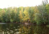 Lake in Autumn..