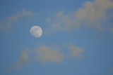 Binghamton Moon