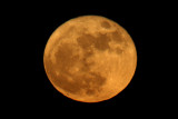 Super Moon 11/14/2016