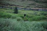 Joel fly fishing the creek