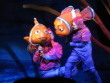 Nemo show