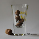 Acorn in glass / Agern i glas