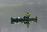 Foggy fishing