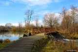 Foot bridge at the delta ponds