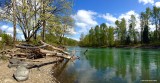 Willamette river