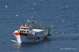 Bateau revenant de la pche  Llana (Esp)