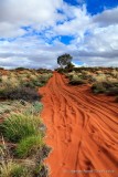 1 of 679 Sand Dunes on Canning Stock Route