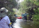 Negotiating a Beaver Dam on Salmon Falls Creek