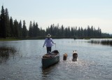 Lisa and the Boys Walking a Shallow Section of the Buffalo River