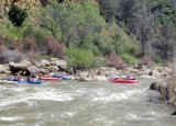 And Suzie Q Hauls in the Freed Canoe 