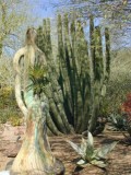 Bronze and Cactus