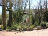 Desert Scene and home at Botanical Gardens