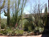 Desert Scene and home at Botanical Gardens