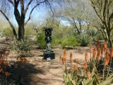 Bronze and Aloe