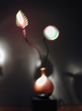 Taken at the Phoenix Art Museum