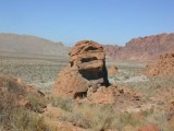 Valley of Fire/Las Vegas NV