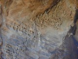 Petraglyphs/Valley of Fire/Las Vegas NV