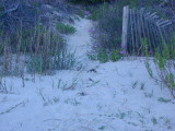 Savannah/Tybee Day 2