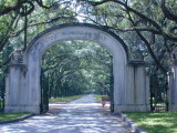 The entrance to Wormsloe