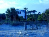 House among the trees