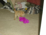 Beating up her purple pal