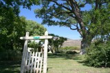 Old homestead in Skull valley AZ