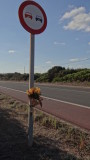 Lonely Tribute at Km 10.5