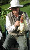 Peter Stripping The Indian Corn