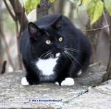 Rocky Birdwatching