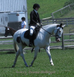 Horse Competition At Huntington Farms