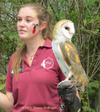 Barn Owl with Jacquie