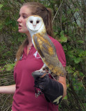 Barn Owl and Her Keeper