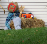 Scarecrow head By Flora