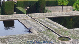 Garden Pools with Dove