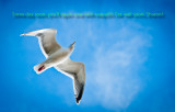 _D3X1221_Card_Sharon Get Well_2.jpg