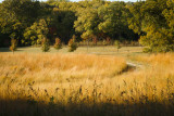 Flint Hills 2013-0527.jpg