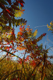 Flint Hills 2013-0747.jpg
