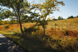 Flint Hills 2013-0757.jpg