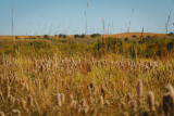 Flint Hills 2013-0861.jpg