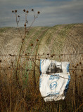 Flint Hills 2013-0961.jpg