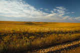 Flint Hills 2013-1080.jpg