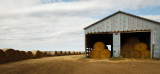 Hay Man.jpg