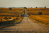 long road home.jpg