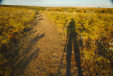 long shadows.jpg