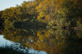 reflections.jpg