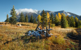 landscape.jpg