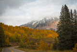rainy aspens.jpg