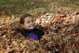 fun with leaves